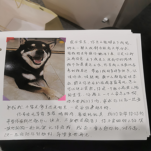 服务案例