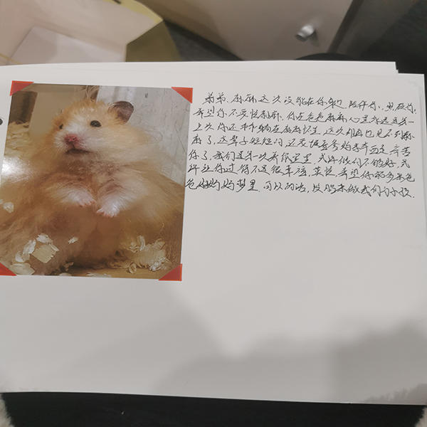 服务案例