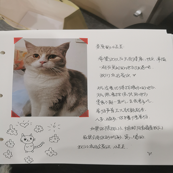 服务案例