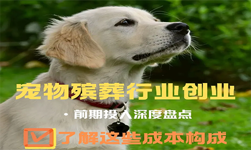宠物殡葬开店必看！拆解前期要多少资金投入