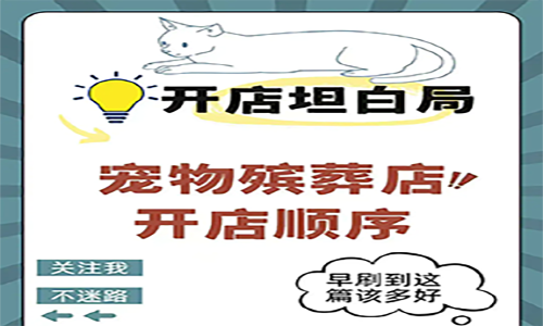 宠物殡葬店创业全流程经验干货