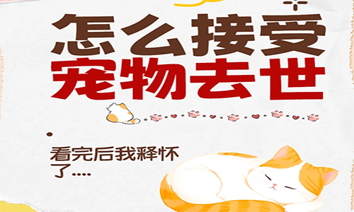 怎么接受宠物去世，看完后我释怀了...