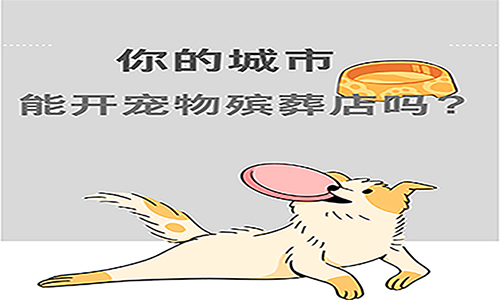 宠物殡葬能不能做？这 5 个维度帮你精准判断