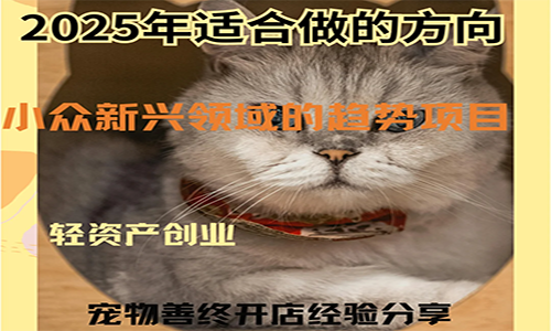 2025年轻创业新风口：宠物善终师