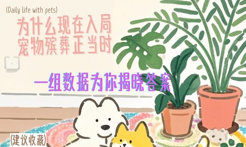 为什么说现在入局宠物殡葬正当时？一组数据为你揭晓答案。