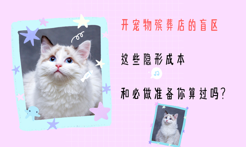 开宠物殡葬店的盲区，这些隐形成本与必做准备你算过吗？