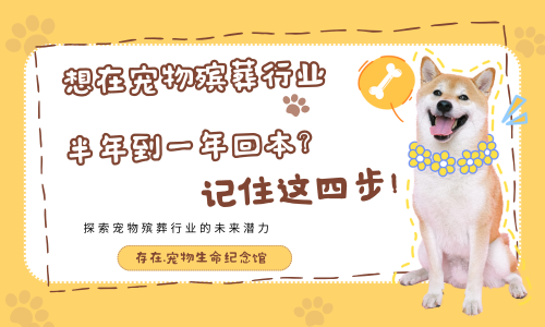 想在宠物殡葬行业半年到一年回本？记住这四步！