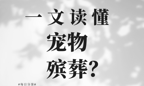 今天给大家聊聊“宠物殡葬”是怎么回事