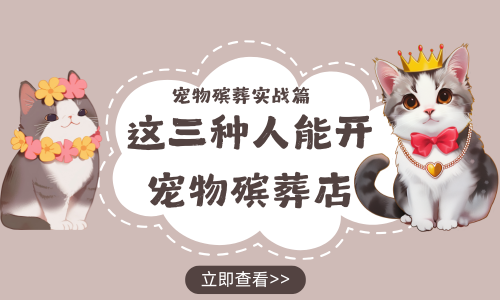宠物殡葬实战篇，这三种人能开宠物殡葬店