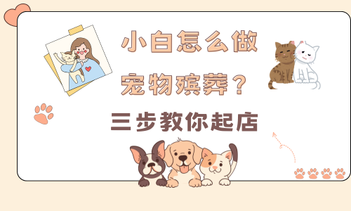 新手怎么做宠物殡葬？三步教你起店