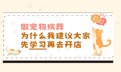 做宠物殡葬，为什么我建议大家先学习再去开店