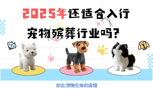2025年还适合入行宠物殡葬行业吗？