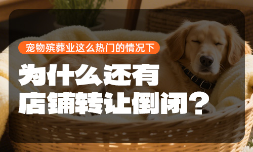 宠物殡葬业这么热门的情况下，为什么还有店铺转让倒闭？