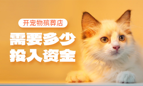 开宠物殡葬店需要多少投入资金