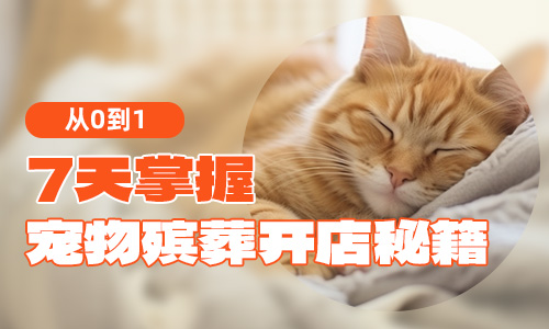 想开宠物殡葬店？这7天的培训内容你必须知道
