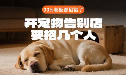开宠物告别店要招几个人,90%老板都招错了