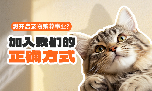 想开启宠物殡葬事业？加入我们的正确方式来啦