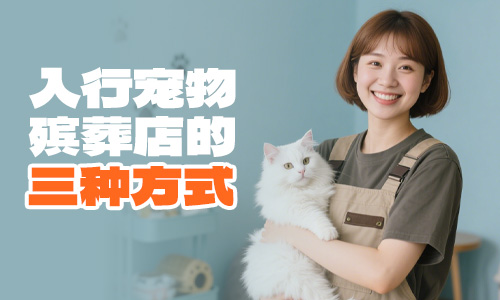从零起步：宠物殡葬行业的三种入行方式