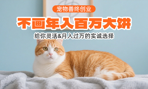 宠物善终创业避坑指南：新手慎入
