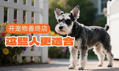 开宠物善终店，这些人更适合