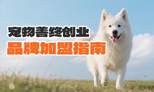 想开宠物殡葬店怎么避坑，教你如何选对品牌