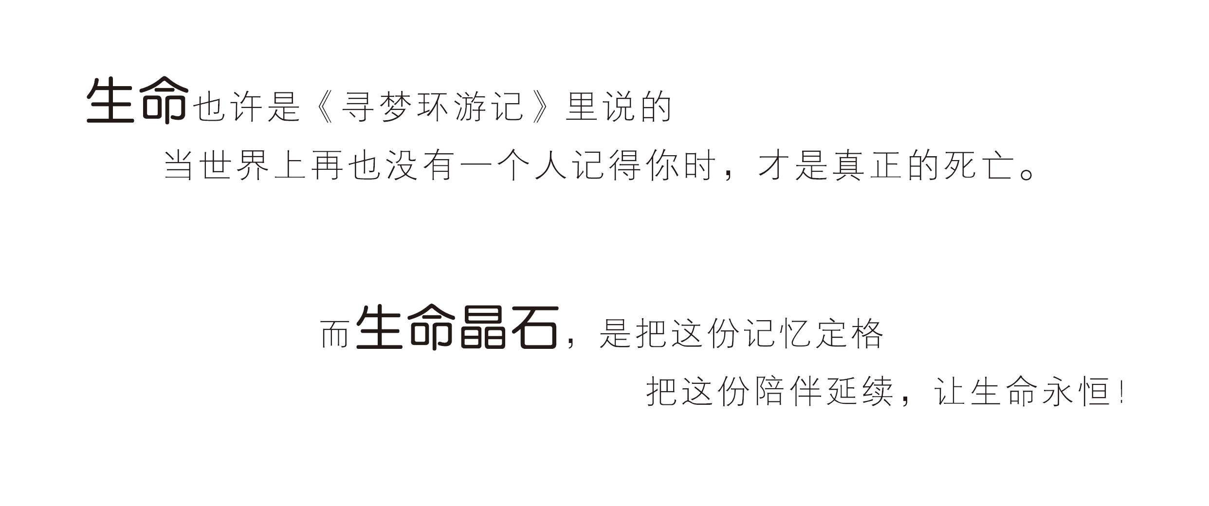 寻梦环游记.jpg