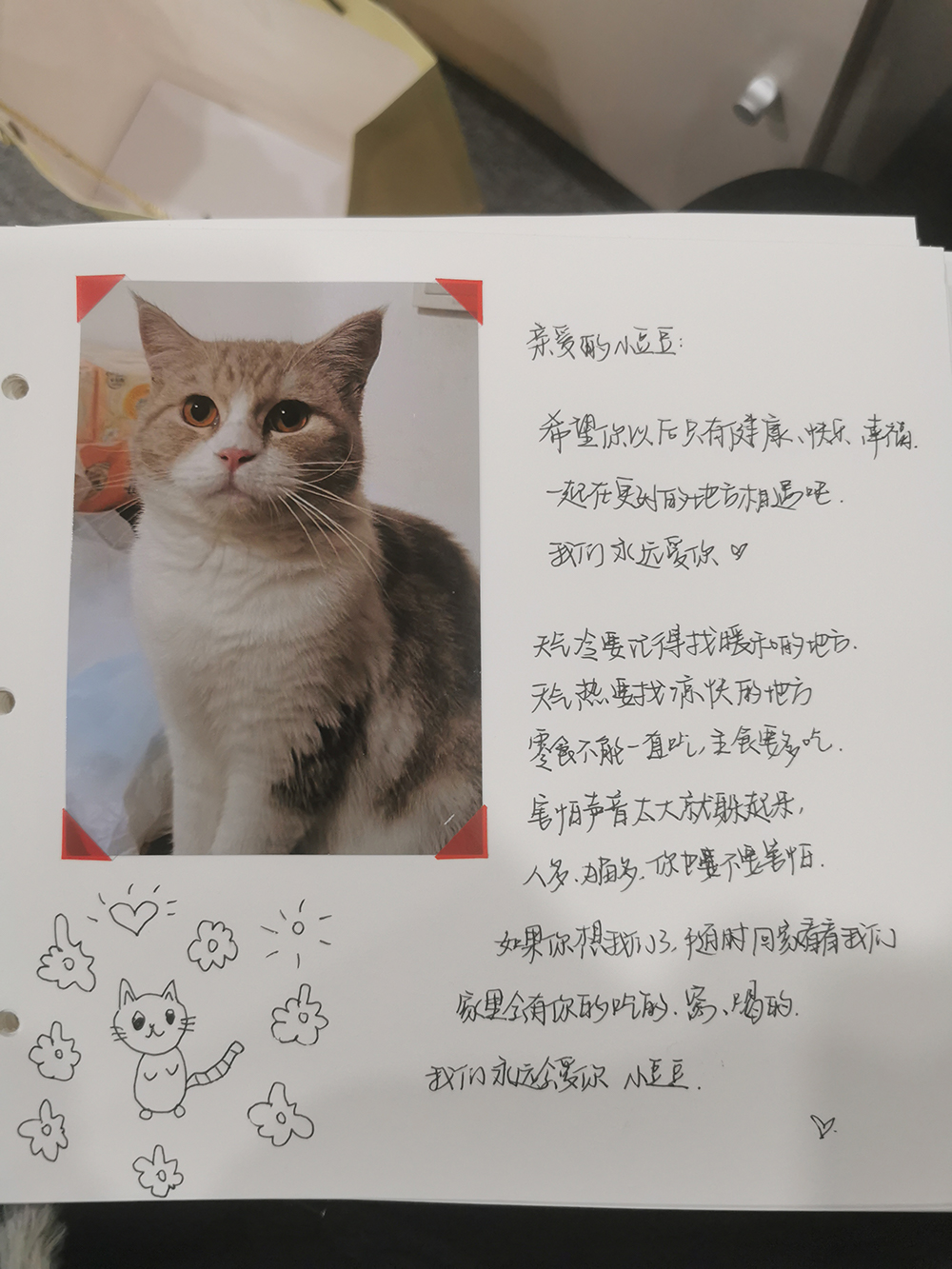 1000像素.jpg