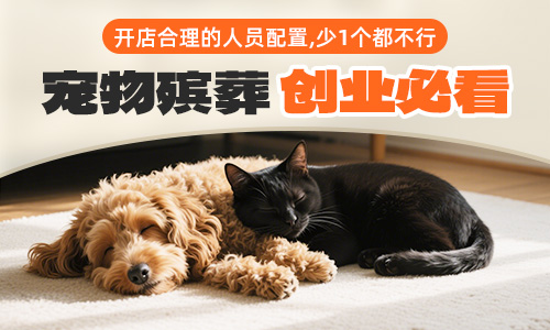 宠物殡葬创业必看.jpg