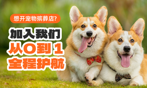 加入我们从0到1全程护航.jpg